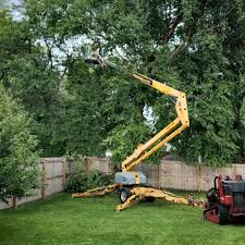  West Brattleboro, VT Tree Removal Services Pros